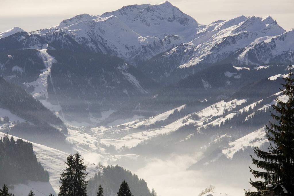 Hotel La Ferme Du Chozal, Chalet De Tradition 欧特吕斯 外观 照片